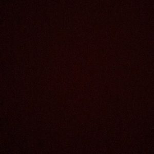 Meet your Posher, Kaleigh